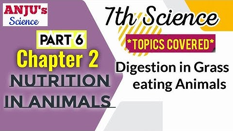 Part 6 ( Digestion in Grass Eating Animals ) || Class 7 Chapter 2 Science || Nutrition in Animals