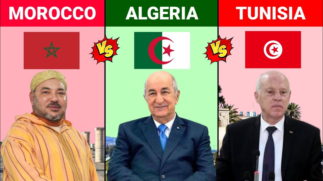 Morocco Vs Algeria Vs Tunisia || Muslim Country Comparison 2023 || Versus Kingdom