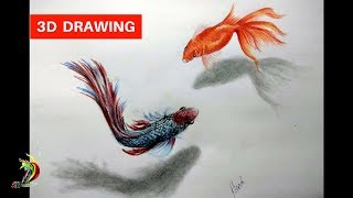 How To Draw 3D Fish On Paper Step By Step 3D Fish Drawing Tutorial