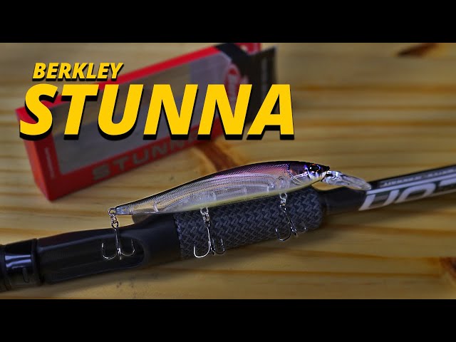 The Best Parts of the Berkley Stunna 
