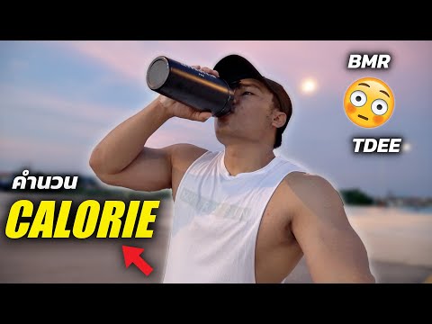 วิธีคำนวน Calorie : BMR , TDEE