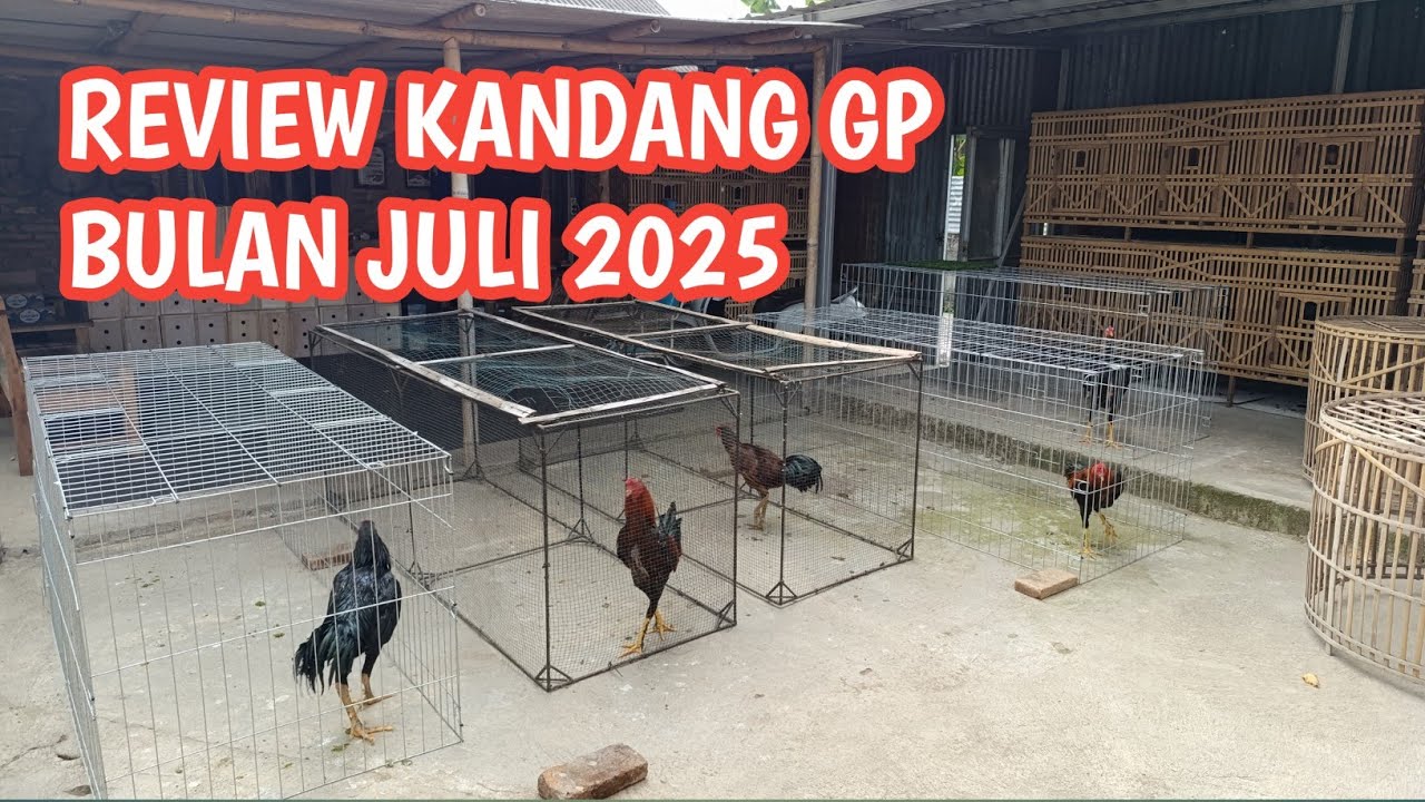 KONDISI KANDANG PASCA WABAH ARATAN 