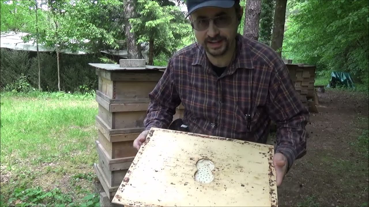 Imkerei 2025 Nr  9  Ableger + Vorbereitung zum Honigschleudern 21.05.2025