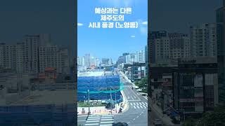 제주 시내의 풍경 노형동