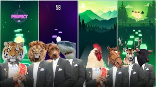 Funny Tiger 🐯🆚 Funny lion 🦁🆚 Funny Dog🐕 🆚 Funny Shark 🦈🆚 Funny Roostr🐔🆚 Funny Horse 🐎🆚 Who Will Win?