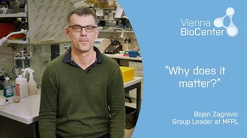Bojan Zagrovic | Max F. Perutz Laboratories