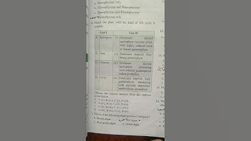 Most Important📒 Neet Pyqs🎯#neet2025 #pyq #neetpyqs  #neetaspirents #viralshorts #trending