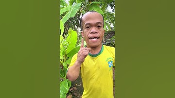 STOP ! Forest fires are terrible 🌏🔥 #fires