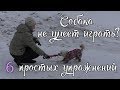 Как играть с собакой / Дрессировка собак