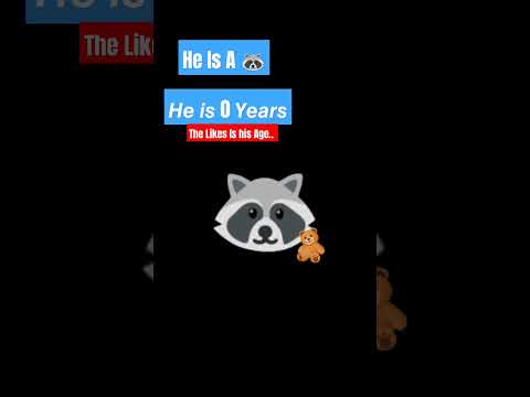 Can 🦝 get