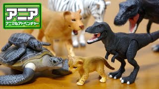 アニア 非売品 恐竜 激かわブラックティラノサウルスの子供と動物を開封紹介