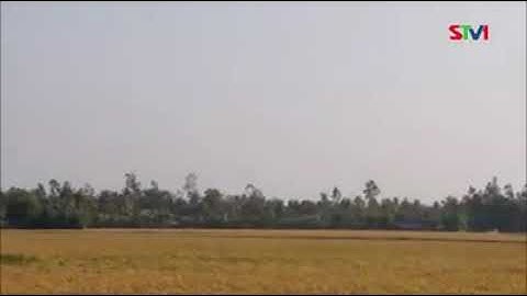 Ký ức miền tây mùa săn chuột đồng