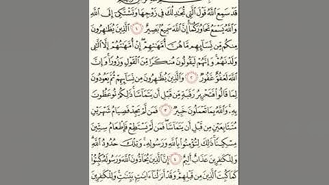 سورة المجادلة للشيخ زكي داغستاني رحمه الله