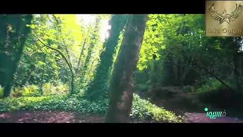 ترتيل وشرح معاني كلمات الربع 04 من الحزب 23 من : { سورة هود }