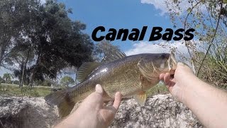 Gary and myself went to a small creek in north port had little bit of
luck.. check it out! music by kz. https://soundcloud.com/kzchillmode