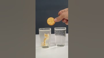 Amazing Science Experiment Video | Eno + Water and Biscuit Experiment #shorts