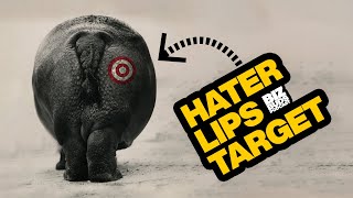 How Do You Effectively Handle Haters by Michael Janda 202 views 4 months ago 16 minutes