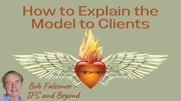 Interview VII - How to explain the IFS model to clients