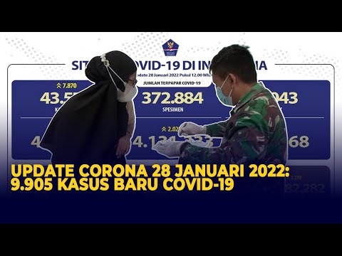 Update Corona: 9.905