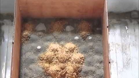 Mat-Works_Final_Movie_Project_Summary