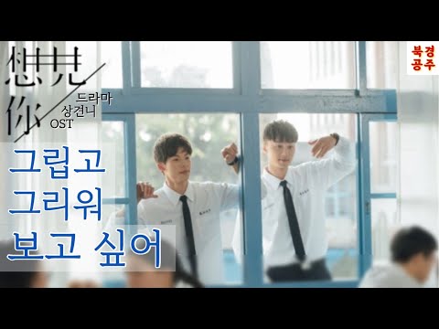 '상견니' OST📺 보고싶어(想见你x3/miss you 3000)-팔삼요(八三夭) [번역•한글발음]