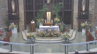 Daily 12:10 pm Mass