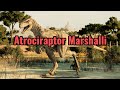 Atrociraptor marshalli dinosaur atrociraptor paleontology raptor jurassicworld