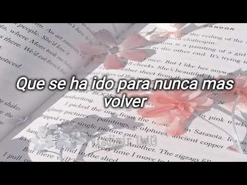 Conjunto Primavera - Actos de un Tonto (Letra)
