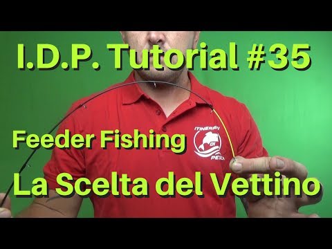 Video: Come Scegliere Una Canna Da Feeder