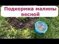 306. ВАЖНЕЙШАЯ подкормка малины  Чем, когда и как.