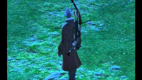 Final Fantasy XIV beta bug