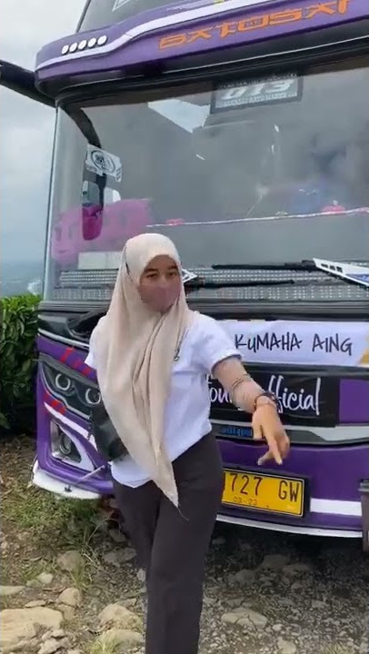 story' wa cinematic bus wayang windu//𝙁𝙧𝙚𝙚 𝙛𝙤𝙤𝙩𝙖𝙜𝙚 #storywabus #vedeobusterbaru