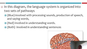 Module 1B Distributed Representation