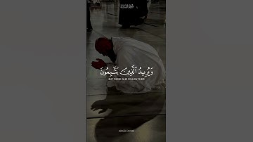 والله يريد ان يتوب عليكم-القارئ ياسر الدوسري#قران #quran
