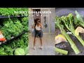 WHAT I EAT IN A DAY FOR WEIGHT LOSS | SOUTH AFRICAN YOUTUBER | Zee Fazii