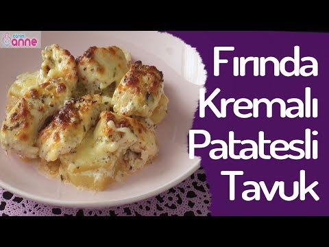 Fırında Kremalı Patatesli Tavuk Tarifi @Canım Anne