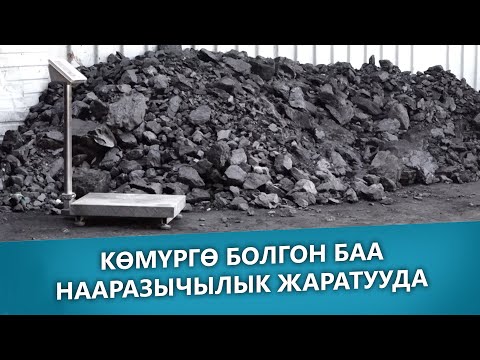 Видео: Бөөрөлзгөнө бүхий клафути