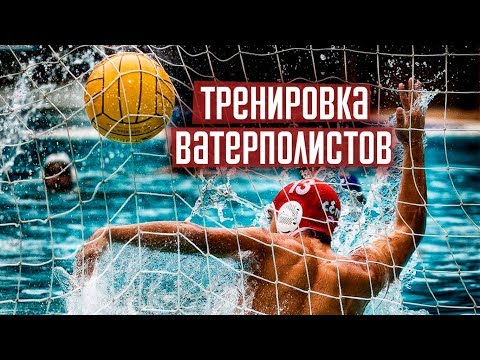 Тренировка ватерполистов. Водное поло