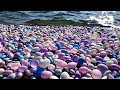 Beautiful Relaxing Music, Peaceful Instrumental Soundscape, 'Running on the Waves' by Sienna Sven