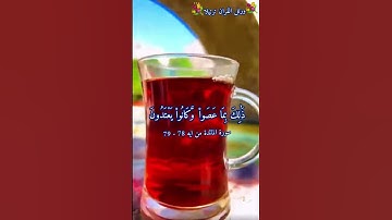 سورة مائدة بصوت الشيخ ياسر الدوسري