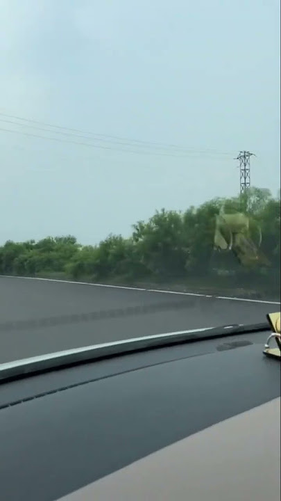 Tum mujhe you bula na paogy #bollywood #music #song #love #hindisong #nature