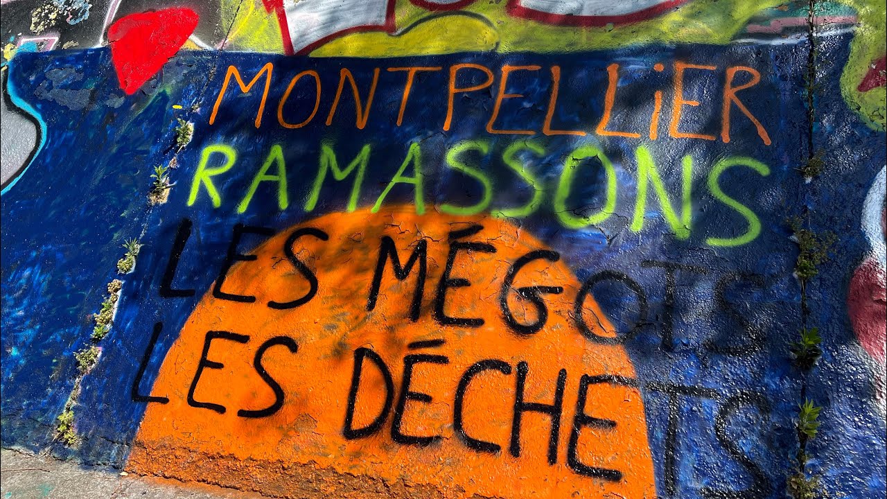 AEBCPEV : le Verdanson Sensibilisation Montpellier