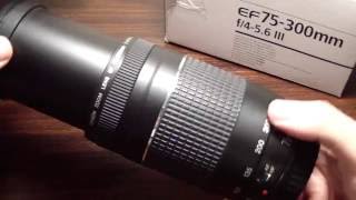 Canon EF 75-300 mm f/4-5.6 III - телеобъектив для зеркального фотоаппарата.