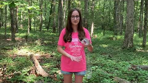 Proper Non-Venomous Snake Handling