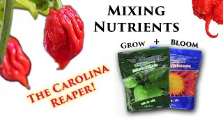 Mixing Hydroponic Nutrients | Carolina Reaper | MarsHydro FC-E 3000