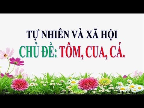 Tự nhiên và xã hội Lớp 3 - Chủ đề: TÔM, CUA, CÁ