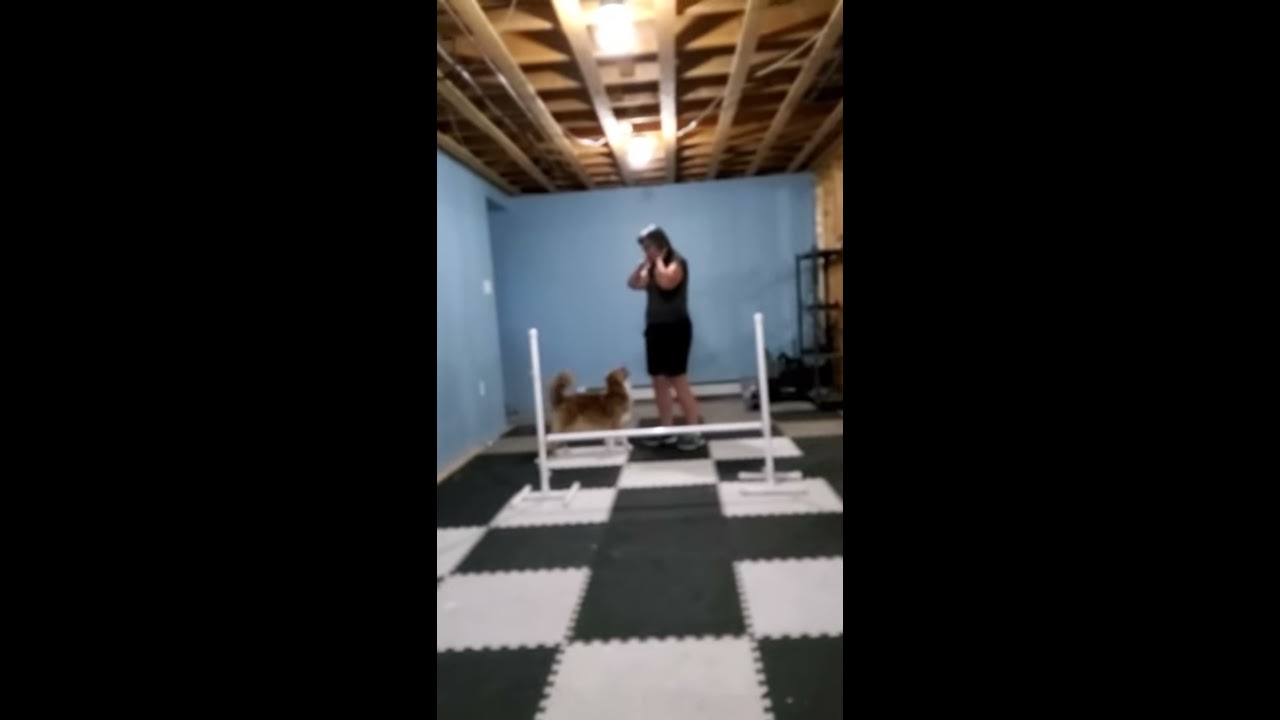 Speck jump wraps - YouTube