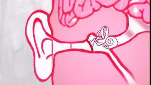 DSN Animations  What is Pitch