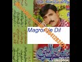 Muneer Abbasi Album Darsan