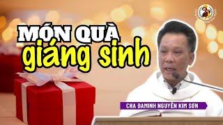 Tĩnh Tâm Mùa Vọng Năm B | Ngày 1: Món Quà Giáng Sinh | Cha QN Đaminh Nguyễn Kim Sơn | 12/12/2023